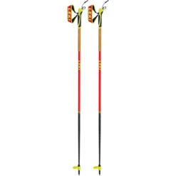 Leki Mezza Speed Ski Poles