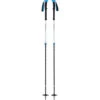 Black Diamond Expedition 2 Pro Ski Poles -Bergzeit iview 5046863 001 pic1