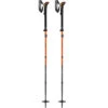 Leki Sherpa FX Carbon Strong Ski Poles -Bergzeit iview 5051221 001 pic1