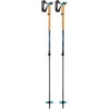 Leki Bernina Lite 2 Ski Poles -Bergzeit iview 5051228 001 pic1